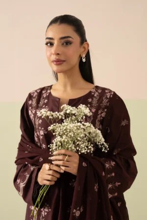 Inara 3 piece Stitched Suit